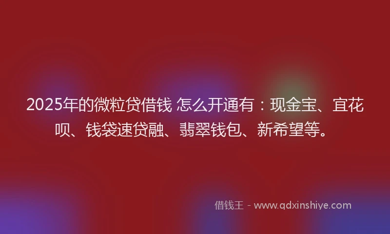 2025年的微粒贷借钱 怎么开通有：现金宝、宜花呗、钱袋速贷融、翡翠钱包、新希望等。