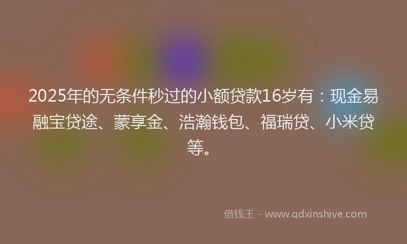 2025年的无条件秒过的小额贷款16岁有：现金易融宝贷途、蒙享金、浩瀚钱包、福瑞贷、小米贷等。