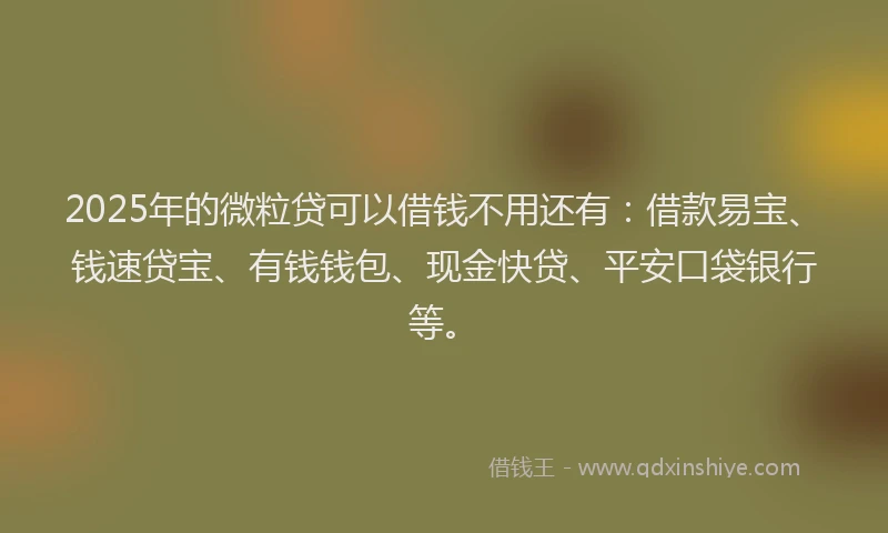 2025年的微粒贷可以借钱不用还有：借款易宝、钱速贷宝、有钱钱包、现金快贷、平安口袋银行等。