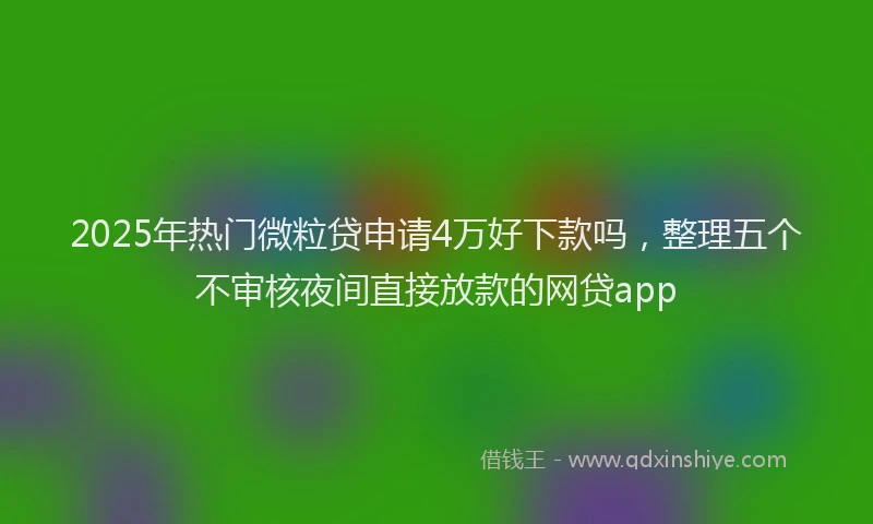 2025年热门微粒贷申请4万好下款吗，整理五个不审核夜间直接放款的网贷app