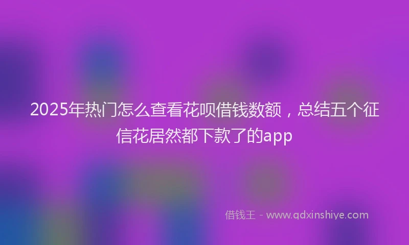 2025年热门怎么查看花呗借钱数额，总结五个征信花居然都下款了的app