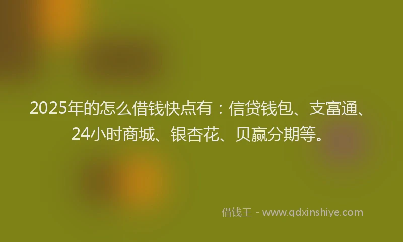 2025年的怎么借钱快点有：信贷钱包、支富通、24小时商城、银杏花、贝赢分期等。
