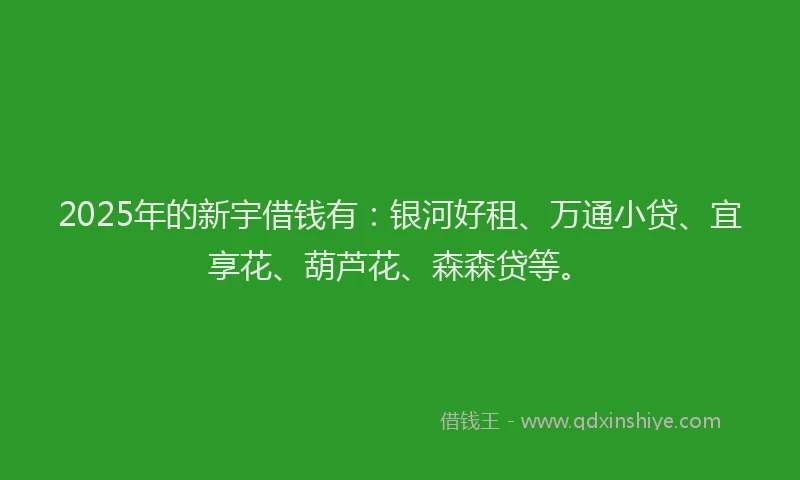 2025年的新宇借钱有：银河好租、万通小贷、宜享花、葫芦花、森森贷等。