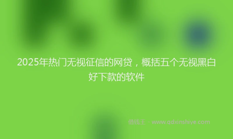 2025年热门无视征信的网贷，概括五个无视黑白好下款的软件