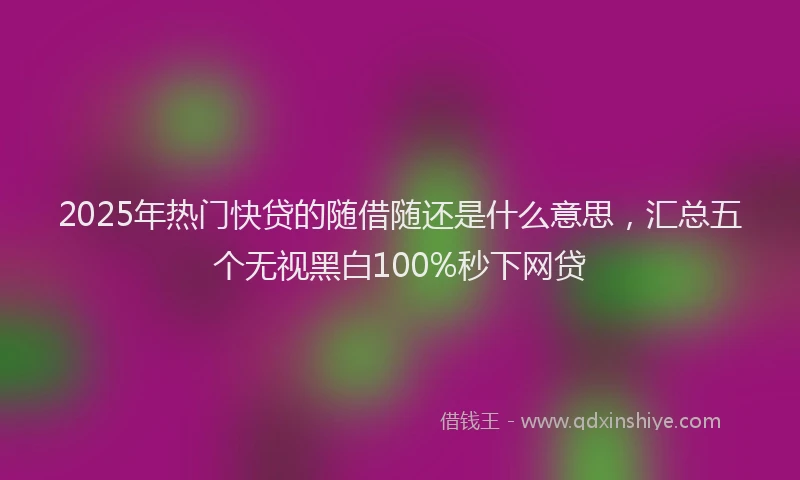 2025年热门快贷的随借随还是什么意思，汇总五个无视黑白100%秒下网贷