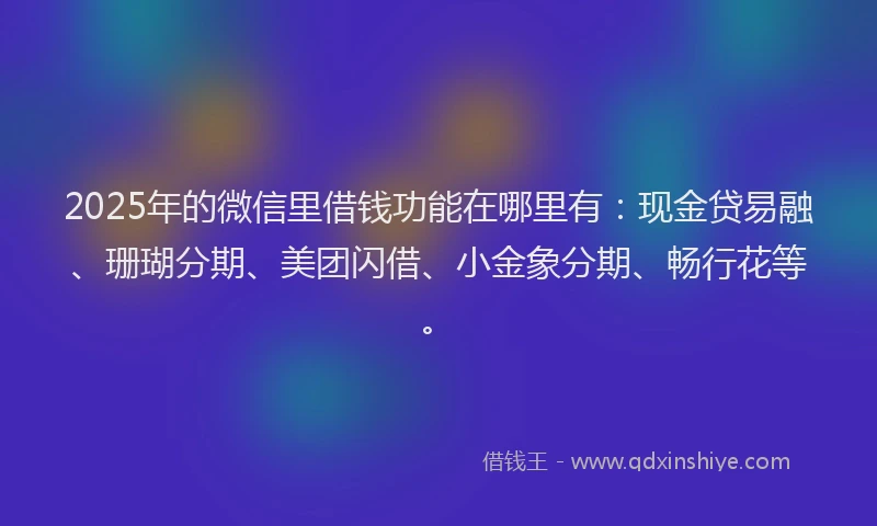 2025年的微信里借钱功能在哪里有：现金贷易融、珊瑚分期、美团闪借、小金象分期、畅行花等。