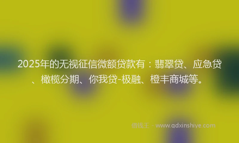 2025年的无视征信微额贷款有：翡翠贷、应急贷、橄榄分期、你我贷-极融、橙丰商城等。