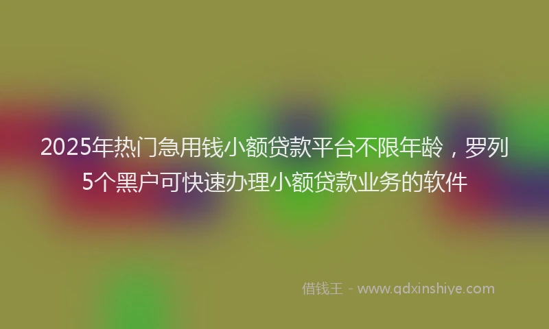 2025年热门急用钱小额贷款平台不限年龄，罗列5个黑户可快速办理小额贷款业务的软件