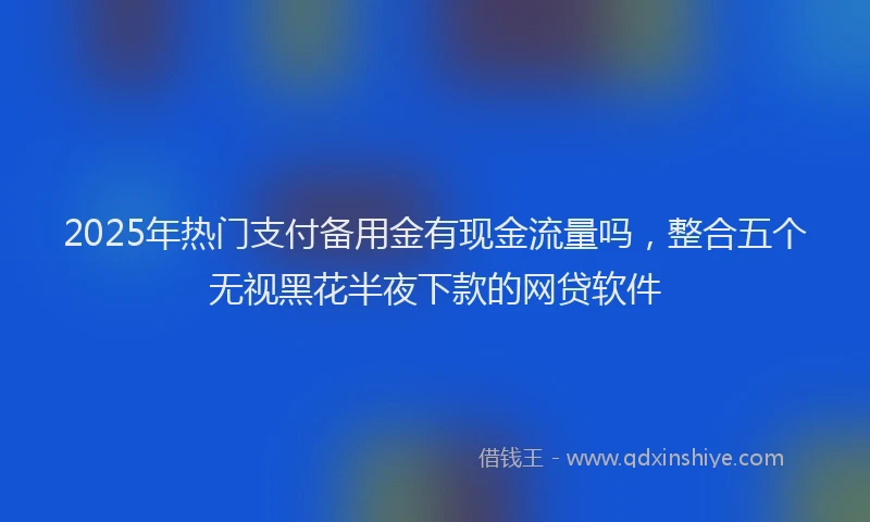2025年热门支付备用金有现金流量吗，整合五个无视黑花半夜下款的网贷软件