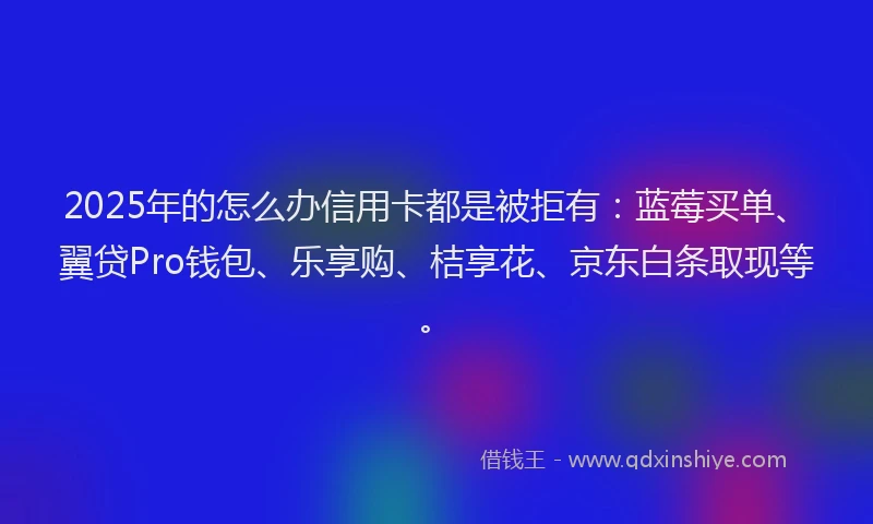 2025年的怎么办信用卡都是被拒有：蓝莓买单、翼贷Pro钱包、乐享购、桔享花、京东白条取现等。