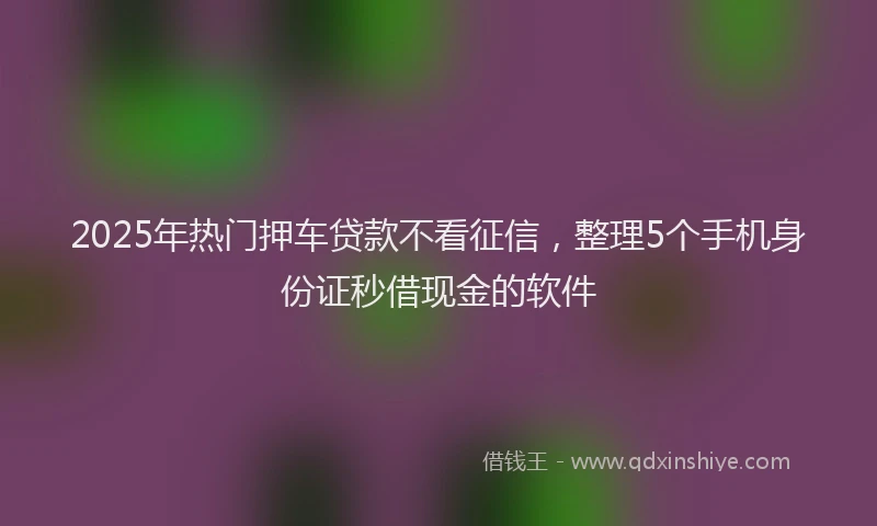 2025年热门押车贷款不看征信，整理5个手机身份证秒借现金的软件