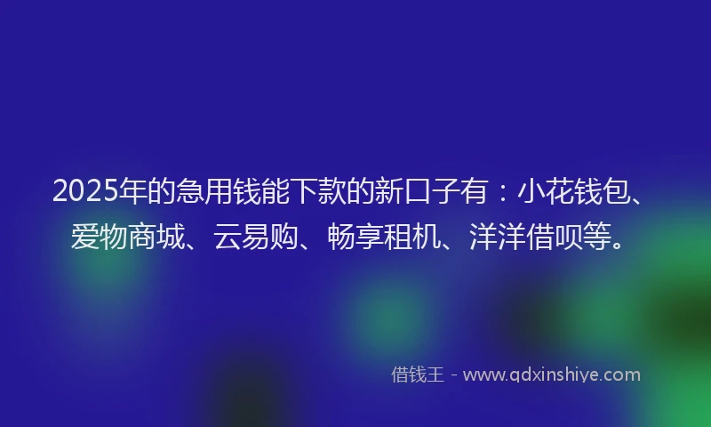 2025年的急用钱能下款的新口子有：小花钱包、爱物商城、云易购、畅享租机、洋洋借呗等。