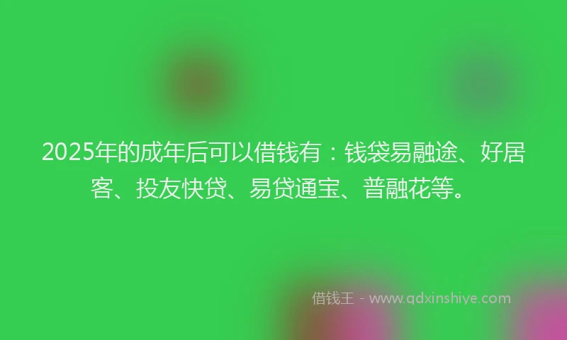 2025年的成年后可以借钱有：钱袋易融途、好居客、投友快贷、易贷通宝、普融花等。