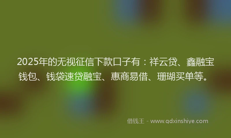 2025年的无视征信下款口子有：祥云贷、鑫融宝钱包、钱袋速贷融宝、惠商易借、珊瑚买单等。