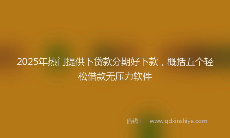 2025年热门提供下贷款分期好下款，概括五个轻松借款无压力软件