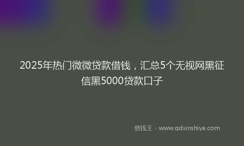 2025年热门微微贷款借钱，汇总5个无视网黑征信黑5000贷款口子