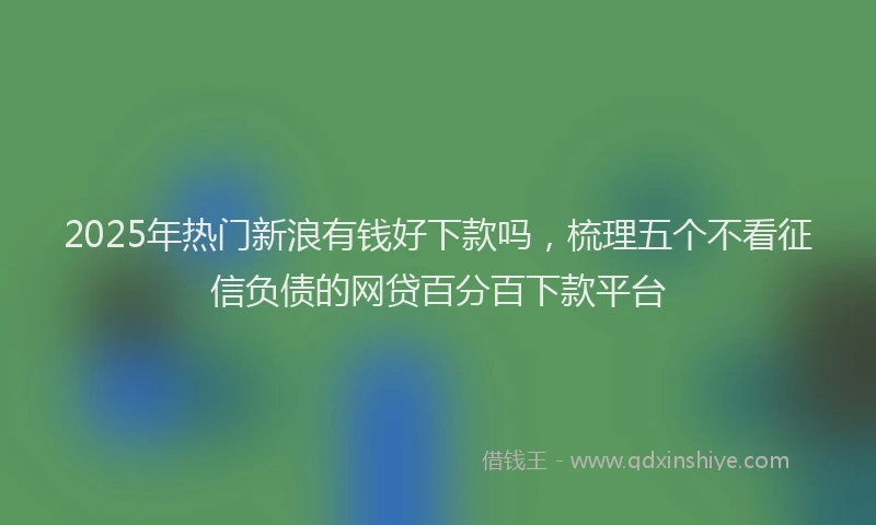 2025年热门新浪有钱好下款吗，梳理五个不看征信负债的网贷百分百下款平台