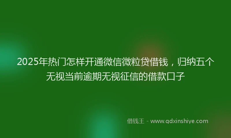 2025年热门怎样开通微信微粒贷借钱，归纳五个无视当前逾期无视征信的借款口子