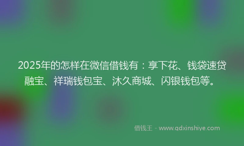 2025年的怎样在微信借钱有：享下花、钱袋速贷融宝、祥瑞钱包宝、沐久商城、闪银钱包等。