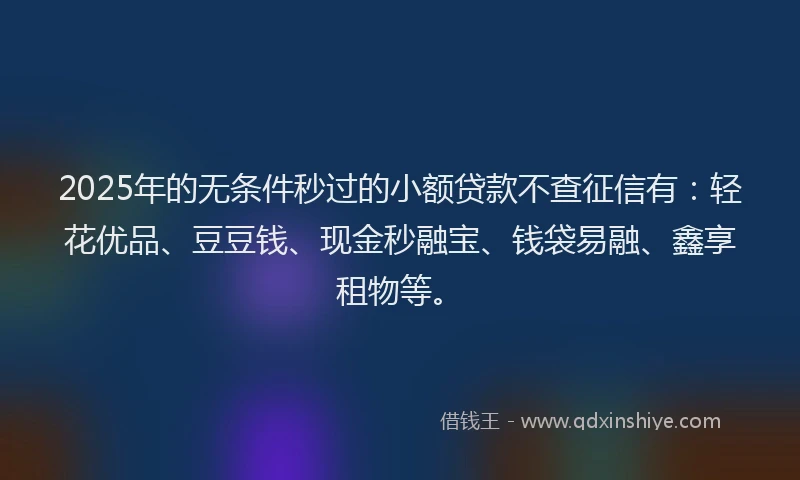 2025年的无条件秒过的小额贷款不查征信有：轻花优品、豆豆钱、现金秒融宝、钱袋易融、鑫享租物等。