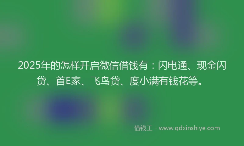 2025年的怎样开启微信借钱有：闪电通、现金闪贷、首E家、飞鸟贷、度小满有钱花等。