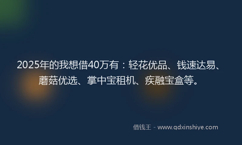 2025年的我想借40万有：轻花优品、钱速达易、蘑菇优选、掌中宝租机、疾融宝盒等。