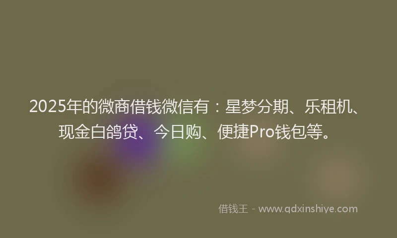 2025年的微商借钱微信有：星梦分期、乐租机、现金白鸽贷、今日购、便捷Pro钱包等。