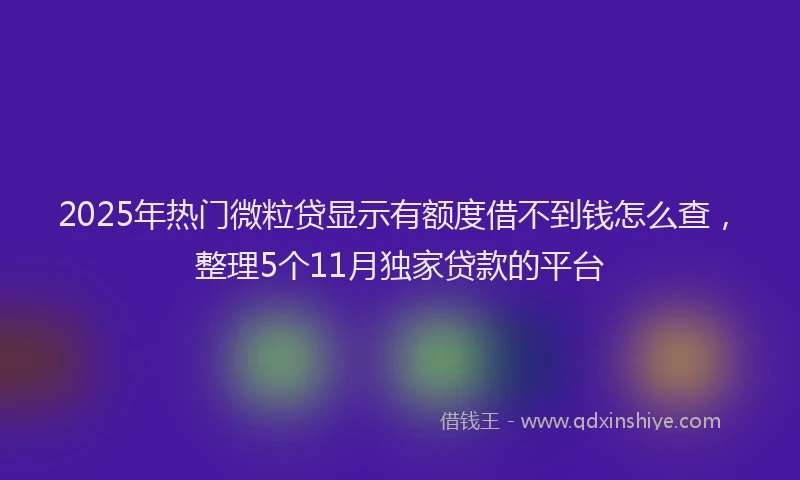2025年热门微粒贷显示有额度借不到钱怎么查，整理5个11月独家贷款的平台
