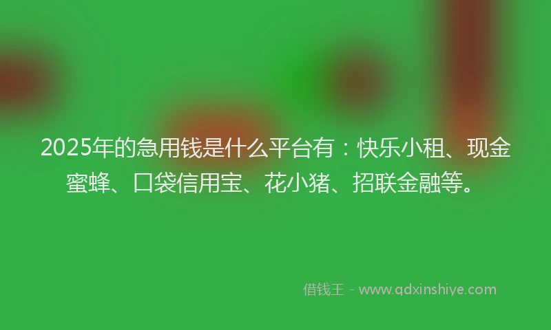 2025年的急用钱是什么平台有：快乐小租、现金蜜蜂、口袋信用宝、花小猪、招联金融等。