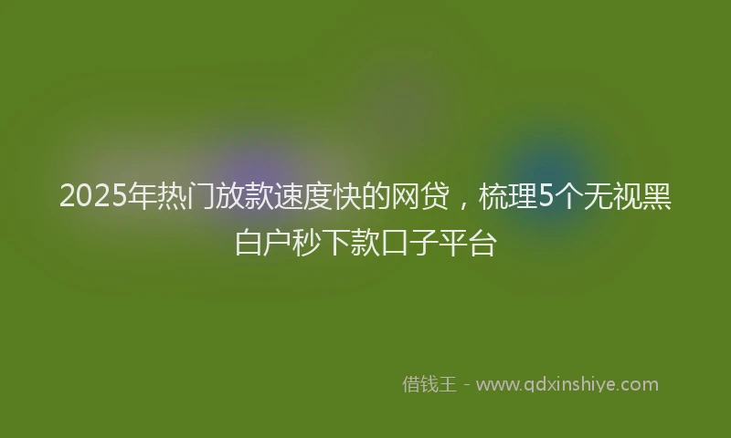 2025年热门放款速度快的网贷，梳理5个无视黑白户秒下款口子平台