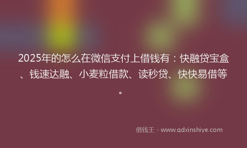 2025年的怎么在微信支付上借钱有：快融贷宝盒、钱速达融、小麦粒借款、读秒贷、快快易借等。