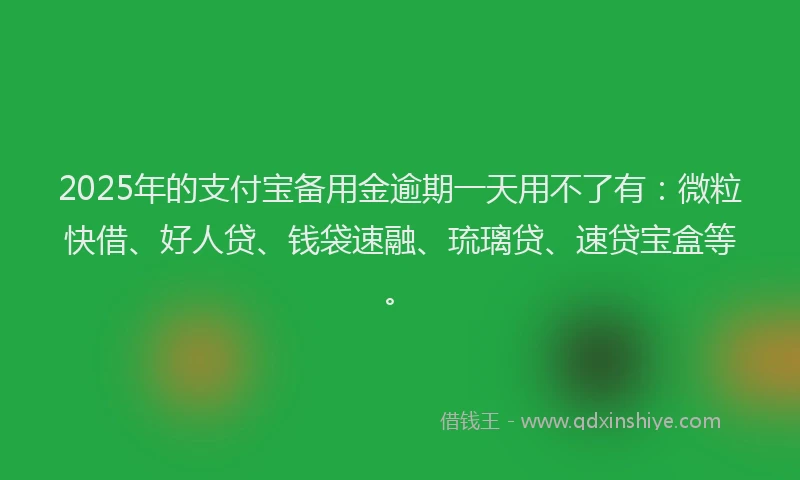 2025年的支付宝备用金逾期一天用不了有：微粒快借、好人贷、钱袋速融、琉璃贷、速贷宝盒等。