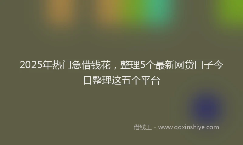 2025年热门急借钱花，整理5个最新网贷口子今日整理这五个平台