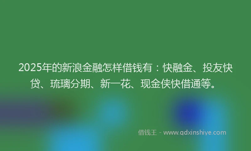 2025年的新浪金融怎样借钱有：快融金、投友快贷、琉璃分期、新一花、现金侠快借通等。