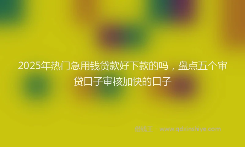 2025年热门急用钱贷款好下款的吗，盘点五个审贷口子审核加快的口子