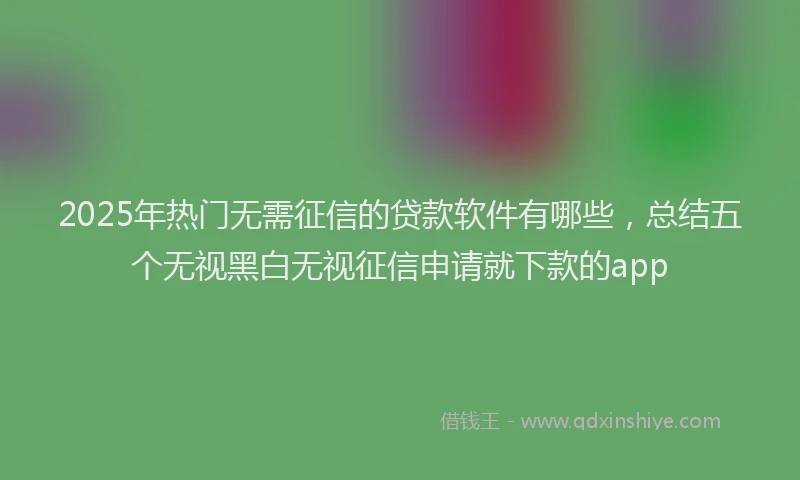 2025年热门无需征信的贷款软件有哪些，总结五个无视黑白无视征信申请就下款的app