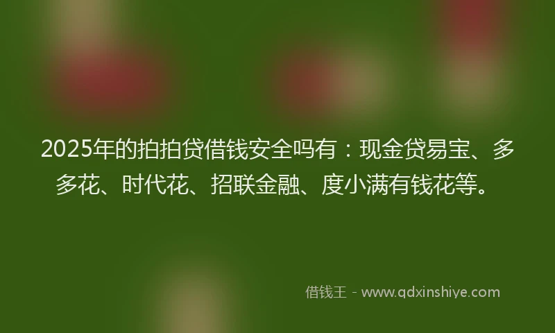 2025年的拍拍贷借钱安全吗有：现金贷易宝、多多花、时代花、招联金融、度小满有钱花等。