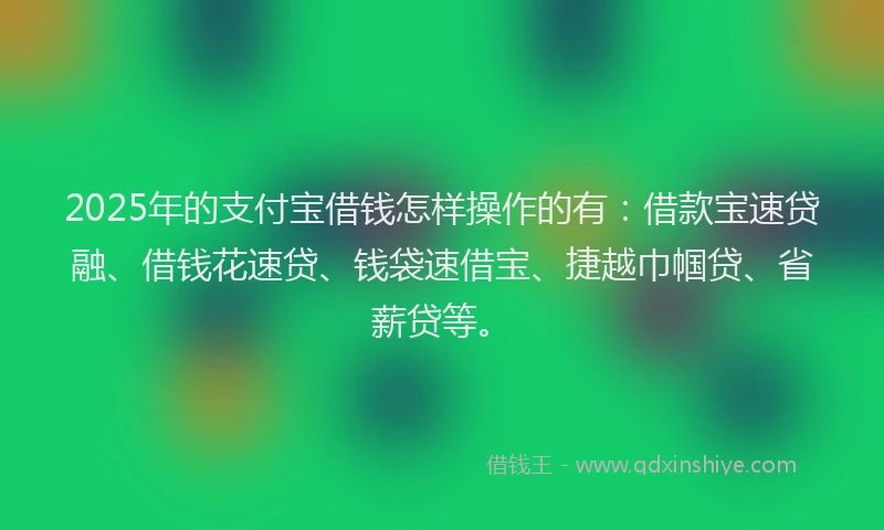 2025年的支付宝借钱怎样操作的有：借款宝速贷融、借钱花速贷、钱袋速借宝、捷越巾帼贷、省薪贷等。