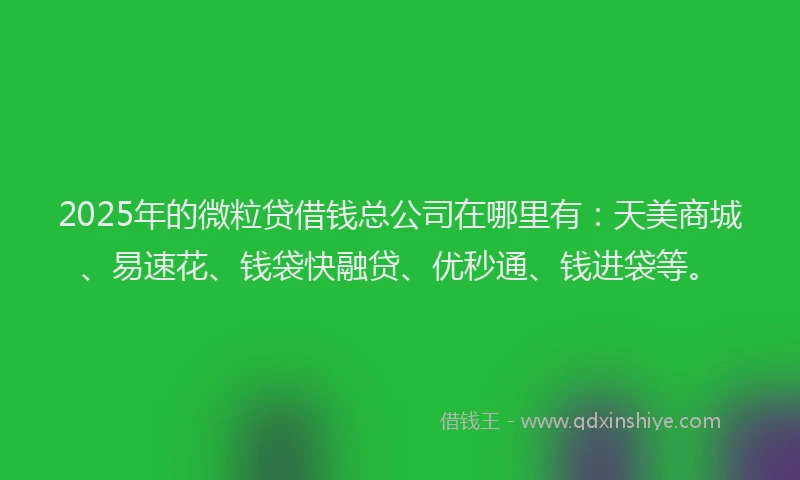 2025年的微粒贷借钱总公司在哪里有：天美商城、易速花、钱袋快融贷、优秒通、钱进袋等。