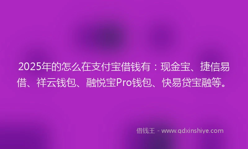 2025年的怎么在支付宝借钱有：现金宝、捷信易借、祥云钱包、融悦宝Pro钱包、快易贷宝融等。