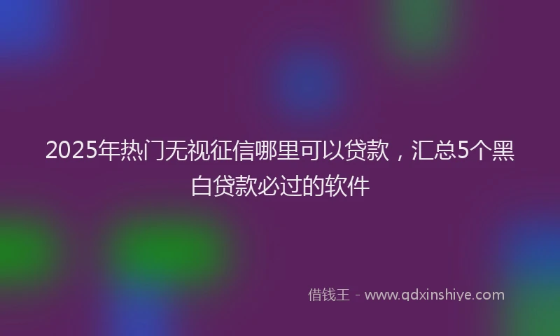 2025年热门无视征信哪里可以贷款，汇总5个黑白贷款必过的软件