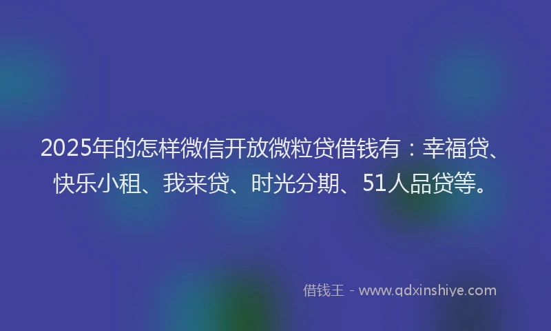 2025年的怎样微信开放微粒贷借钱有：幸福贷、快乐小租、我来贷、时光分期、51人品贷等。