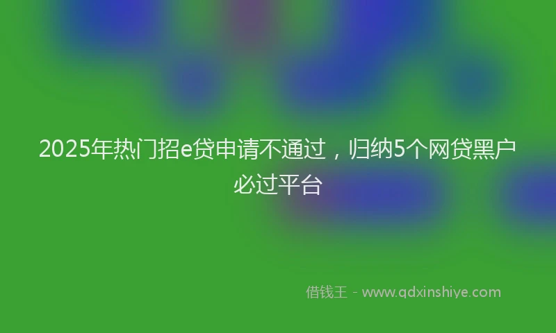 2025年热门招e贷申请不通过，归纳5个网贷黑户必过平台