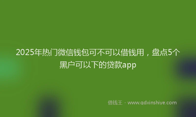 2025年热门微信钱包可不可以借钱用，盘点5个黑户可以下的贷款app
