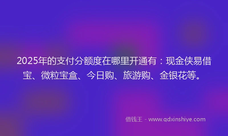 2025年的支付分额度在哪里开通有：现金侠易借宝、微粒宝盒、今日购、旅游购、金银花等。