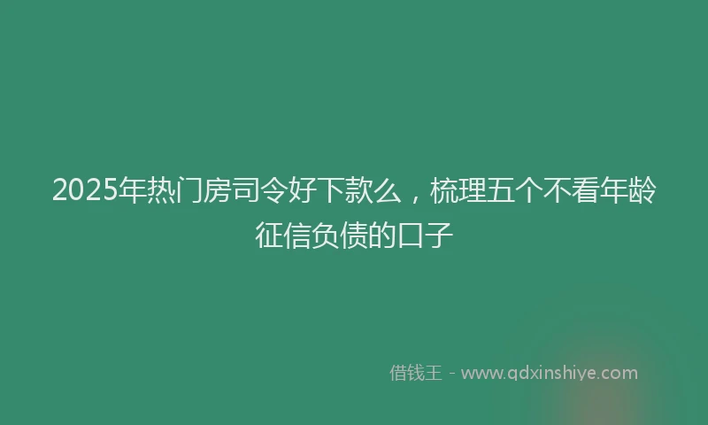 2025年热门房司令好下款么，梳理五个不看年龄征信负债的口子