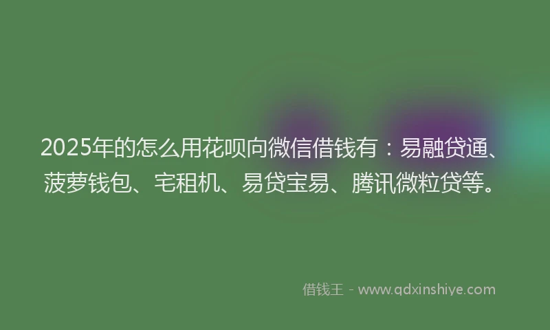2025年的怎么用花呗向微信借钱有：易融贷通、菠萝钱包、宅租机、易贷宝易、腾讯微粒贷等。