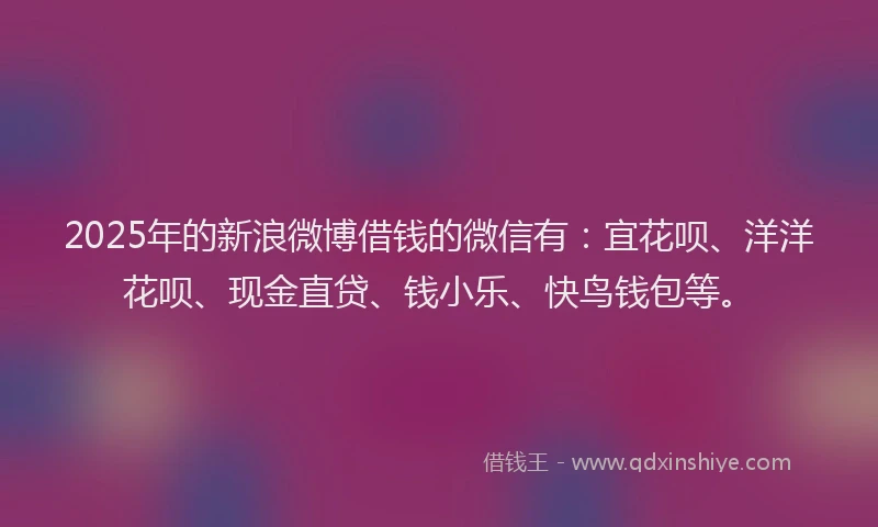 2025年的新浪微博借钱的微信有：宜花呗、洋洋花呗、现金直贷、钱小乐、快鸟钱包等。