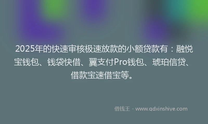 2025年的快速审核极速放款的小额贷款有：融悦宝钱包、钱袋快借、翼支付Pro钱包、琥珀信贷、借款宝速借宝等。