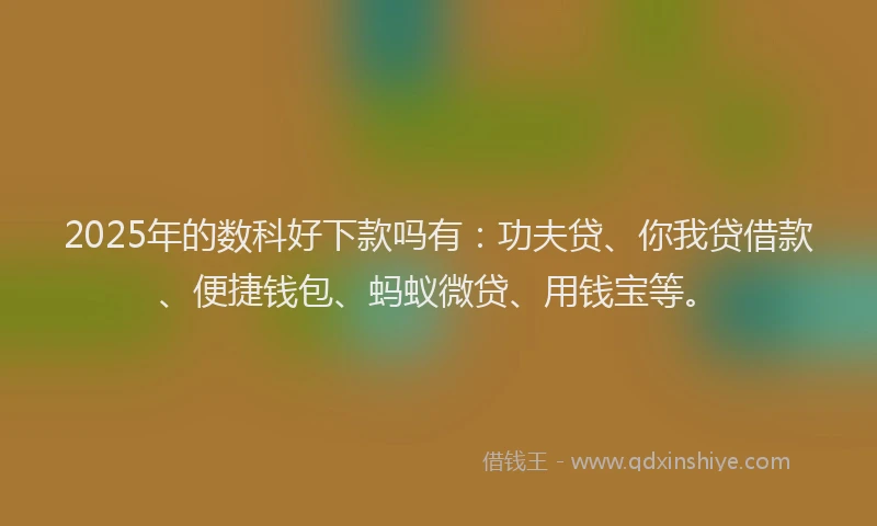 2025年的数科好下款吗有：功夫贷、你我贷借款、便捷钱包、蚂蚁微贷、用钱宝等。